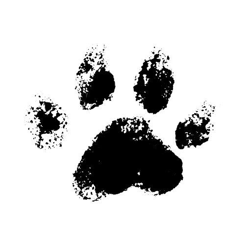 paw print icon
