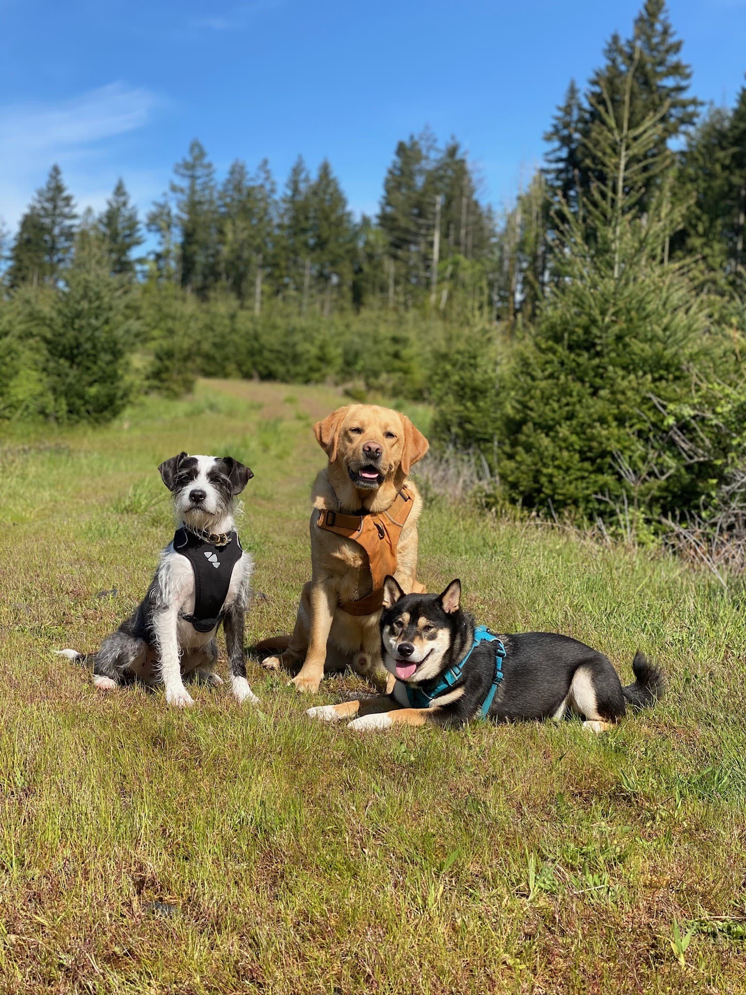 Hiking group