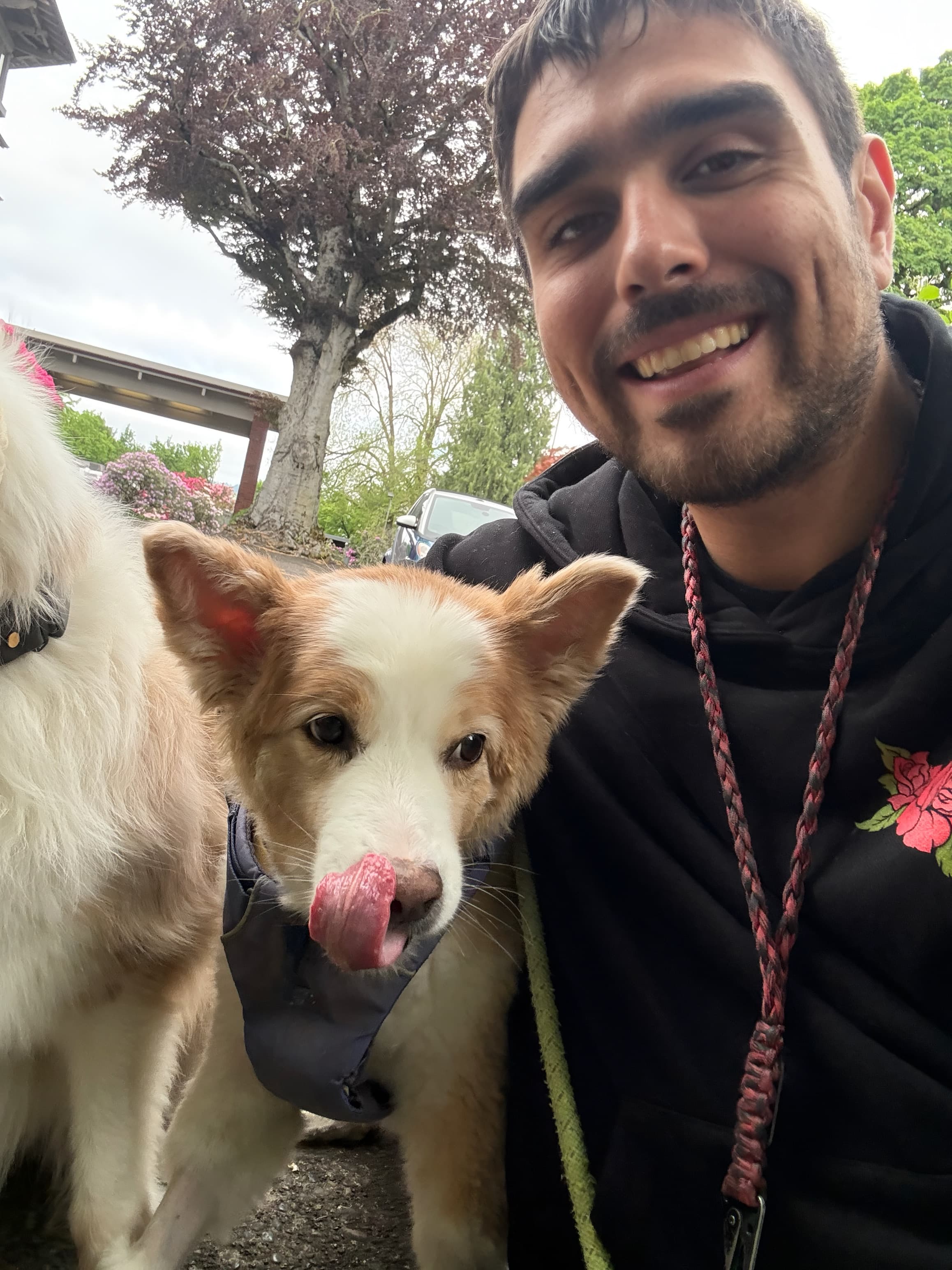 josh pet walker, caretaker extradinar